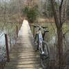 One of the many wooden bridges that cross over the water on the Buckthorn Trail.