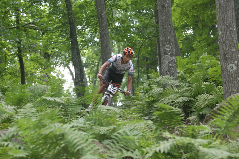 Yeeha! A fast descent at Nordic Mountain!