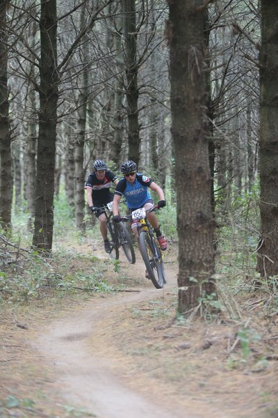 In the pines of Willow Creek section of Nordic Mountain.