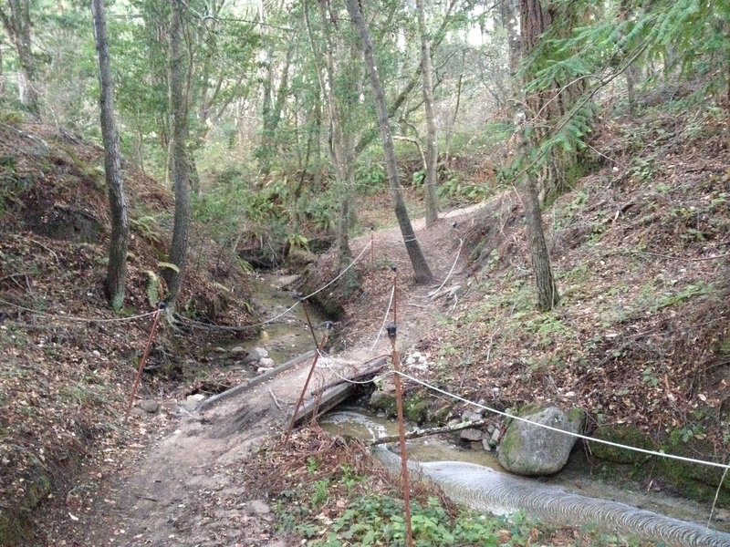 When you get to the bridge on Eucalyptus Loop, get ready for a short punchy upward section.  Normally the creek is dry during the summer and fall.