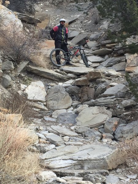 Dead Dog Trail: a great picture of the extensive rock work and steep technical trails in the area.