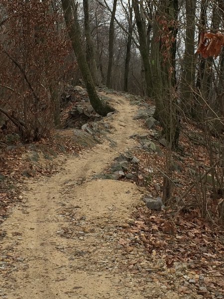 The beginning of the Aline Gravity Trail starts at the end of the Fire Tower grounds.