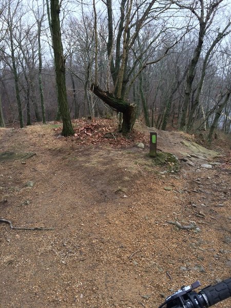 There are three choices to get down this ridge: Left is an 8' drop, center is a steep roll down, right is a rocky gradual decent. Look before you leap!