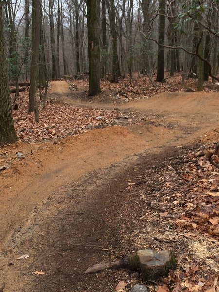 Berms and Table Tops abound on the Aline Gravity Trail. These features can be executed by riders of all levels. Be sure to check your speed!