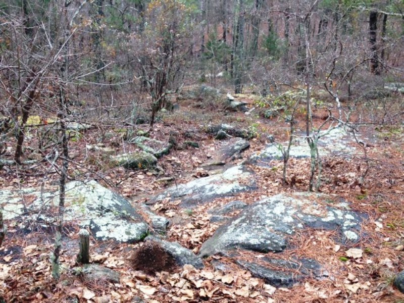 A view looking down the hard line that comes up through the Fraggle Rock section of the Granite Loop.