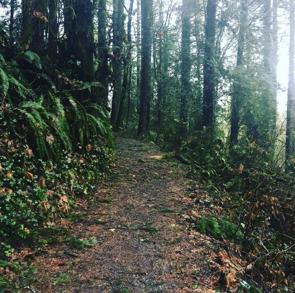 Heading up the 40 second long Carousel Hill portion of the South Ridge Loop trail.