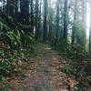 Heading up the 40 second long Carousel Hill portion of the South Ridge Loop trail.