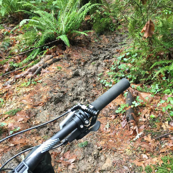 The Ridge Trail is pretty muddy in winter. Be courteous and avoid riding in wet conditions to try to preserve the trail.