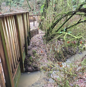 You know you are near the main parking lot when you see the double bridges. Five trails converge in this one spot.