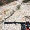 Riding through a dry rocky creek bed on the Old Government Road - the variety of terrain here is a real blast!