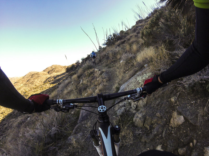 Climbing the Wild Burro Trail.