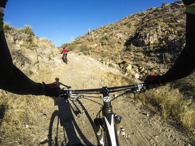 Climbing the steep jeep road as part of the Ridgeline Loop.