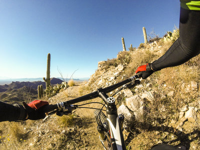 Tight cornering with high (prickly) consequences on the Ridgeline Trail.