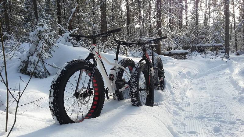 The trail Savane Est/Ouest is maintained for La Savane circulate Fatbikes.