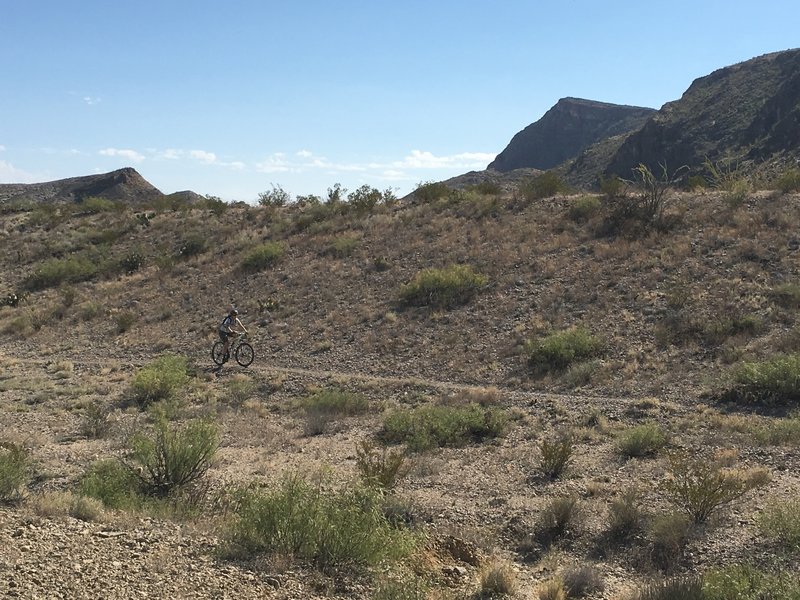 Chihuahuan Desert riding!