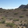 Chihuahuan Desert riding!