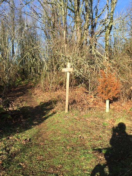 Not exactly where you would expect to find the Connector Trail sign. The sign sits beyond the brush against the tree line.