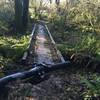 This is the bridge between the meadow and the forested part of the connector trail.