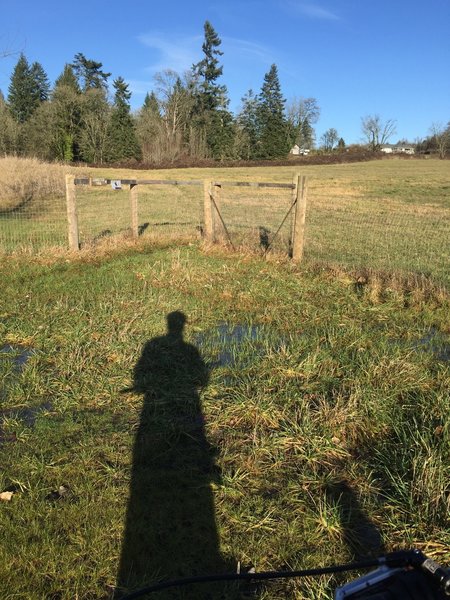 Look for this gate. It is on the east side of NW 11th Ave.