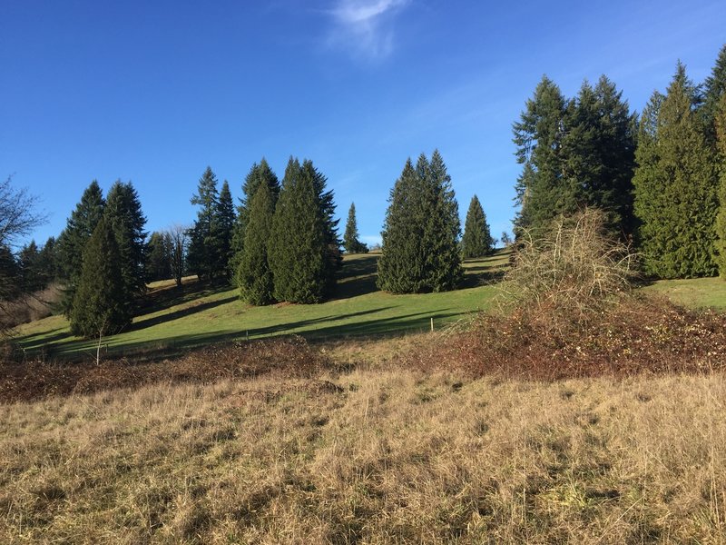 The trail has some pretty views of neighboring properties.