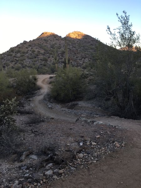 Recently smoothed out trail with small climbing section.