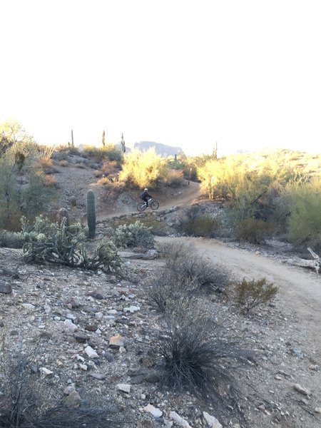 Several tight switchbacks, which are easily rideable, are located along this section of trail .