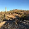 This trail is well worn and has several small wash crossings.