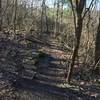 After the creek crossing and going over the abandoned carriage road. You can choose left for something more difficult or right for easy.