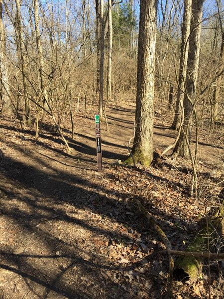 The end of Hookman Hill where it meets The Blvd.  Go right continues toward more trail, left goes back to trailhead or Toybox