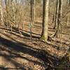 The end of Hookman Hill where it meets The Blvd.  Go right continues toward more trail, left goes back to trailhead or Toybox