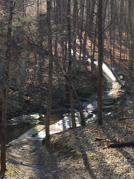 Great track through a creek.