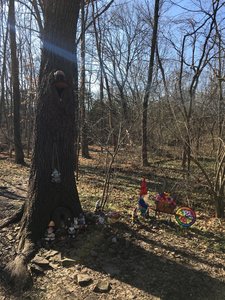 Home of the Gnomes.