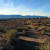 View north from the Chaparral overlook.