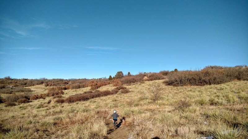 A great ride for young mountain bikers!