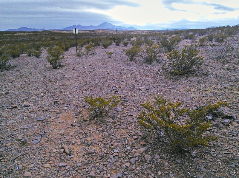 Looking off towards the mountains.