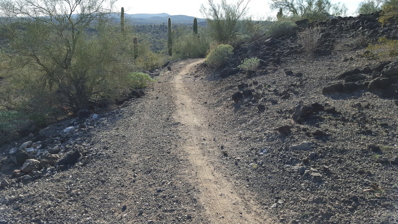 Great singletrack.