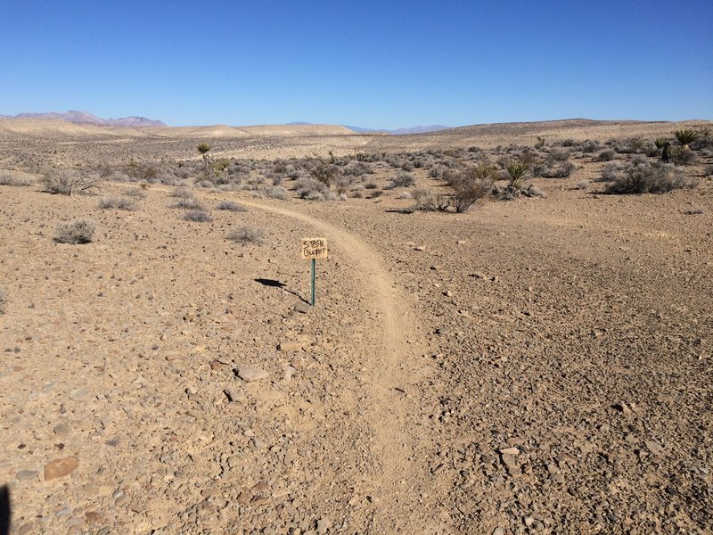 Connector to the Rusty Bucket Trail.