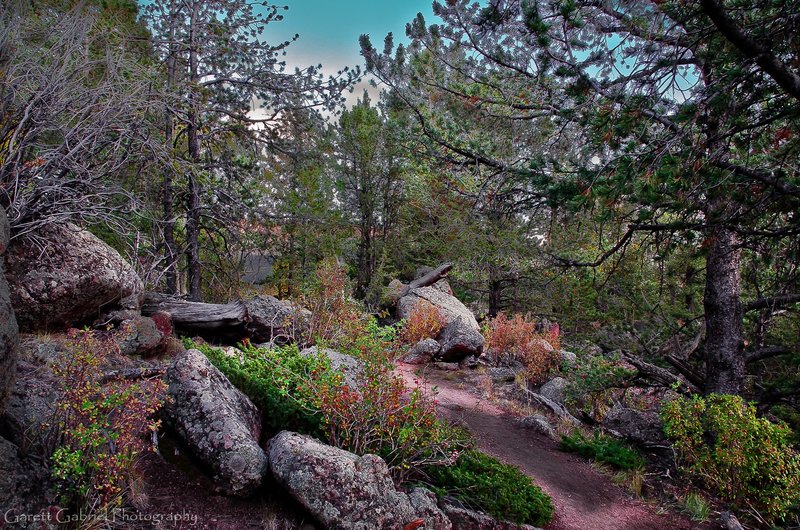 This mountain path leads away on the Grouse Creek Trail.