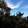 View of Mt Meeker from base of Miller Rock.