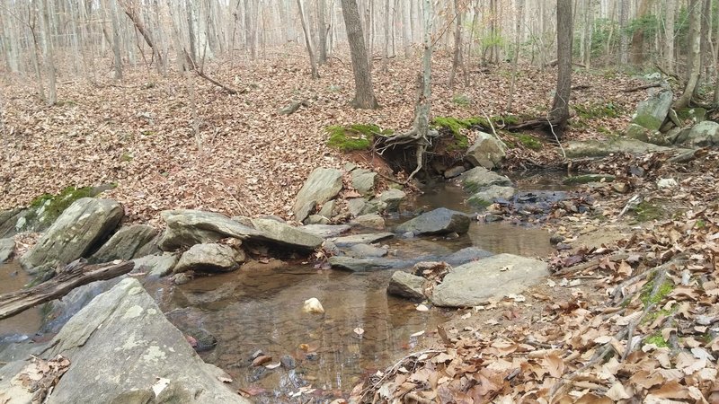 Creek crossing at the end of the Mansion downhill.