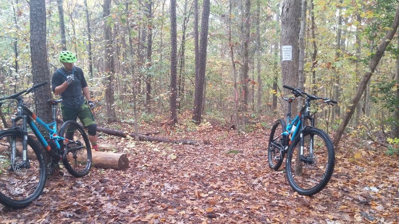 The trail hub where all three loops intersect.