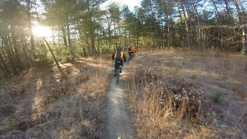 Early morning Big River Ride - exiting field back into the trees