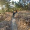 Early morning Big River Ride - exiting field back into the trees