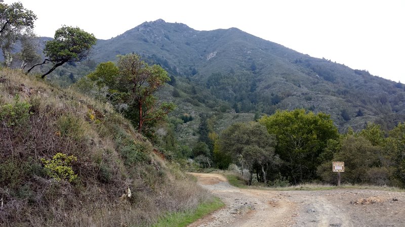 Mount Tam from Old Railroad Grade Trail.