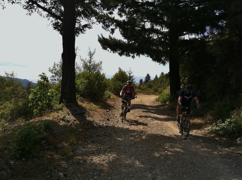 Approaching Mount Tam summit on Old Railroad Grade.