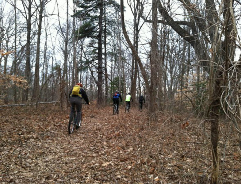 Fort Dupont Park near Ridge Road SE.