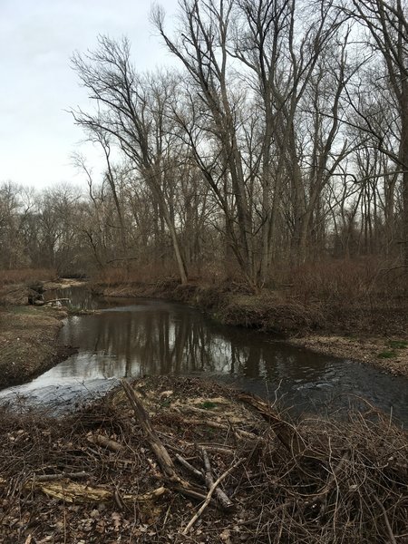 Pennypack Creek is right next to the trail for most of the way.