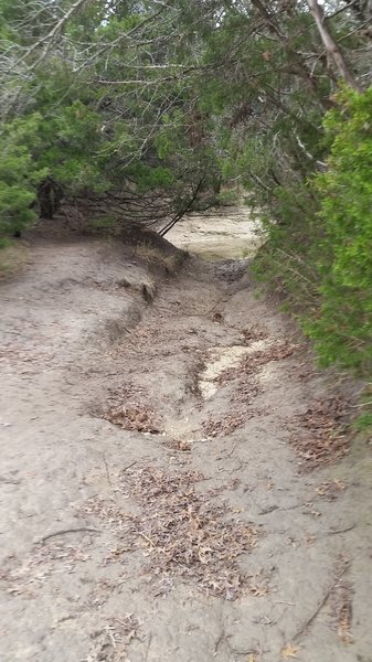 Creek crossing