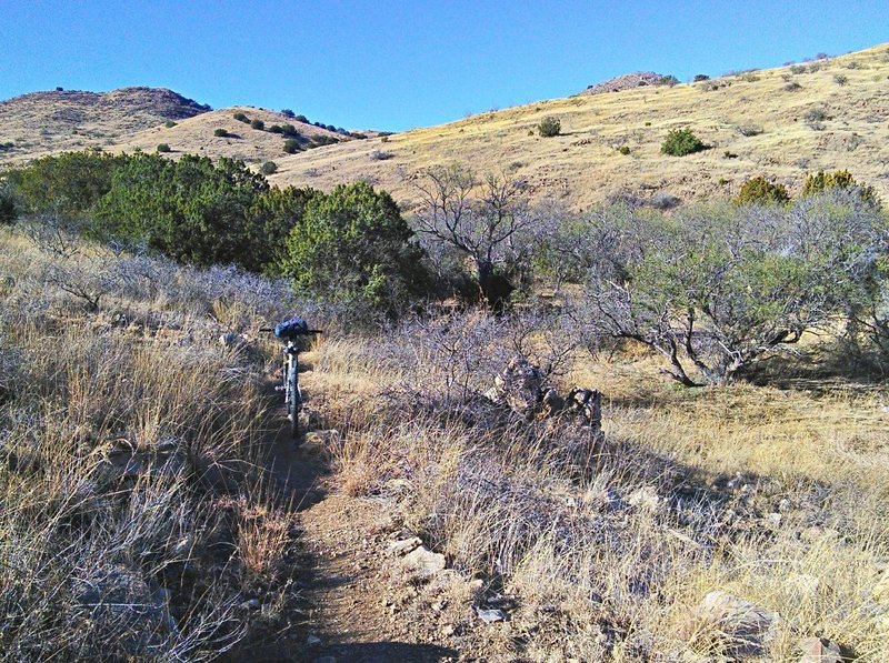 Climbing through scrub trees and grassland.