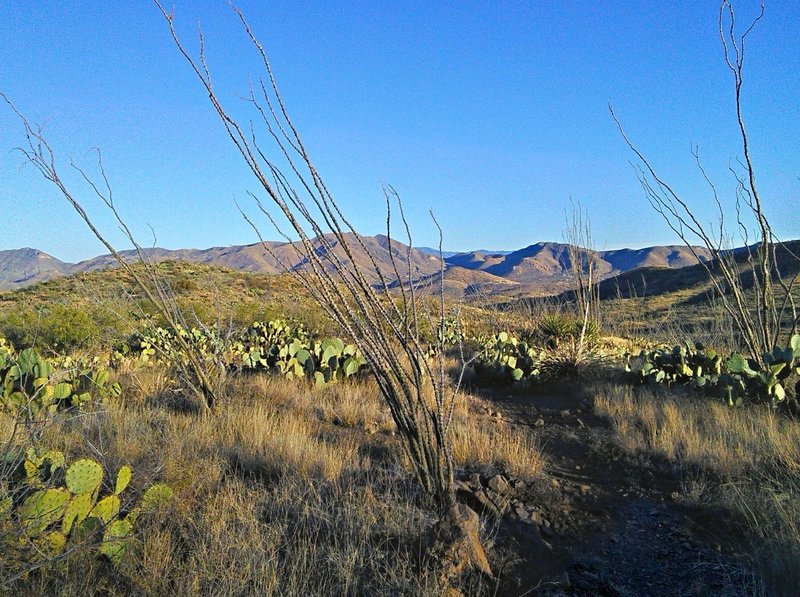 North end of the trail.